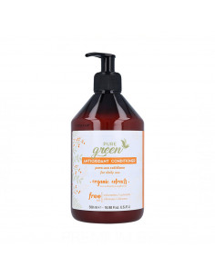 Pure Green Antioxidant Acondicionador 500 ml